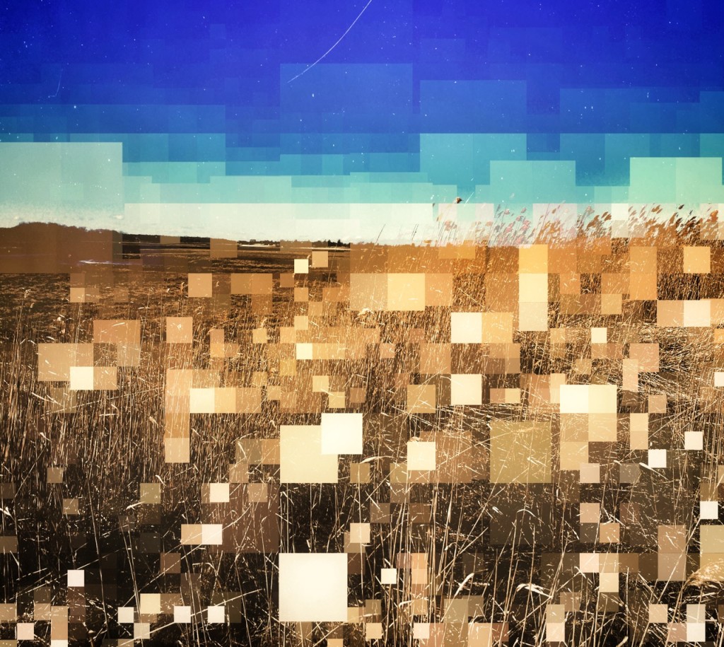 salt-marsh-glitch